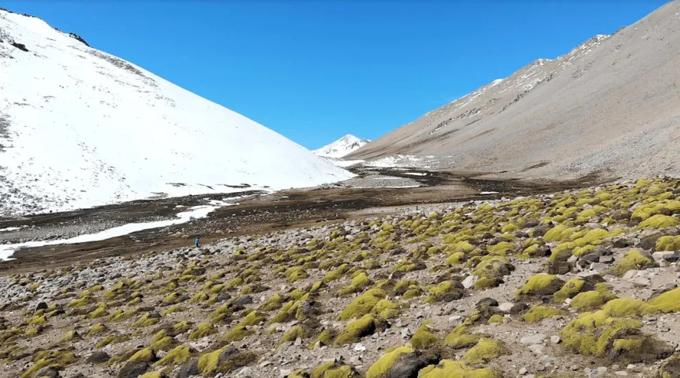 Buscan anular declaratoria de Santuario de la Naturaleza del río Sasso