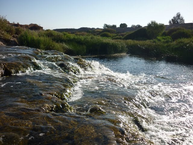 Río Loa es oficialmente Humedal Urbano: 518 hectáreas quedan bajo protección ambiental