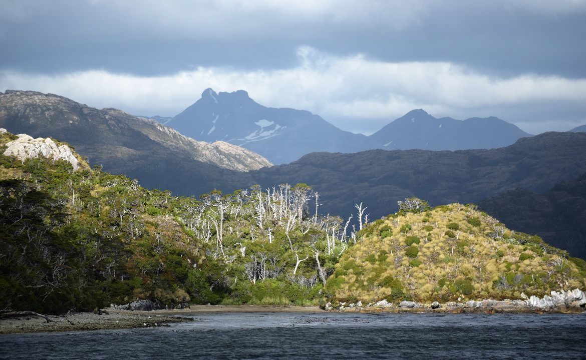 ¡Por fin! porción marina de parques y reservas nacionales de la patagonia son reconocidos en mapas oficiales