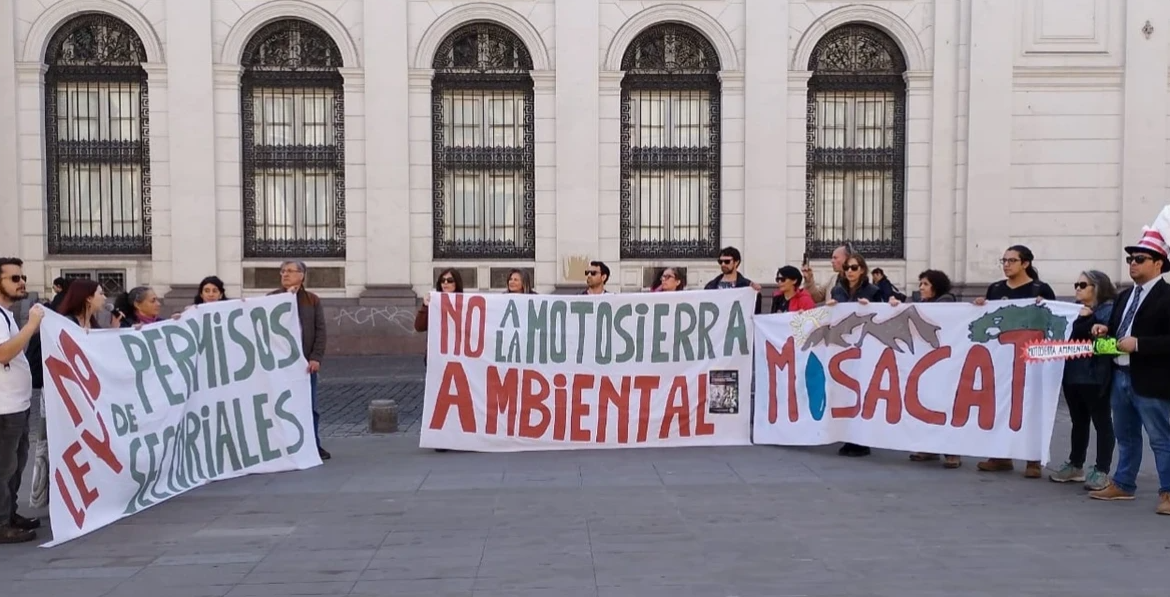 Motosierra: Organizaciones usan concepto de Milei contra Boric por debilitar control ambiental en vez de mejorarlo