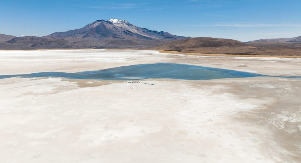 Tribunal Ambiental: Se realiza revisión de medidas cautelares que mantienen suspendidas faenas mineras en Arica