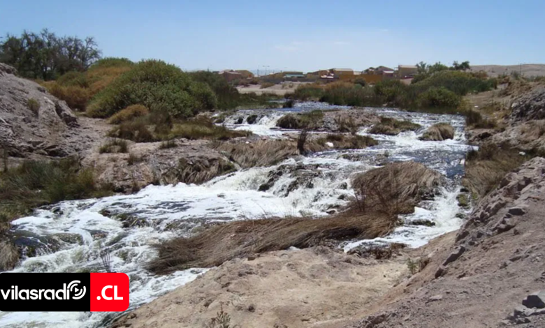 Ministerio del Medio Ambiente reconoce al Río Loa como humedal urbano: diario oficial publica decreto para su protección