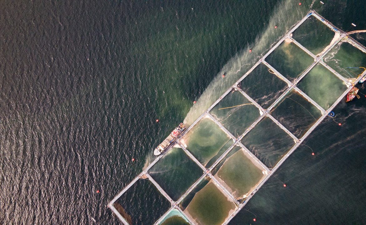 Chile: advierten que la industria salmonera sigue degradando el fiordo Comau, a cuatro años del desastre ambiental