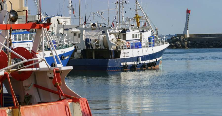 Pesca: Comisión Mixta separa votación de la merluza común en medio de cuestionamientos cruzados