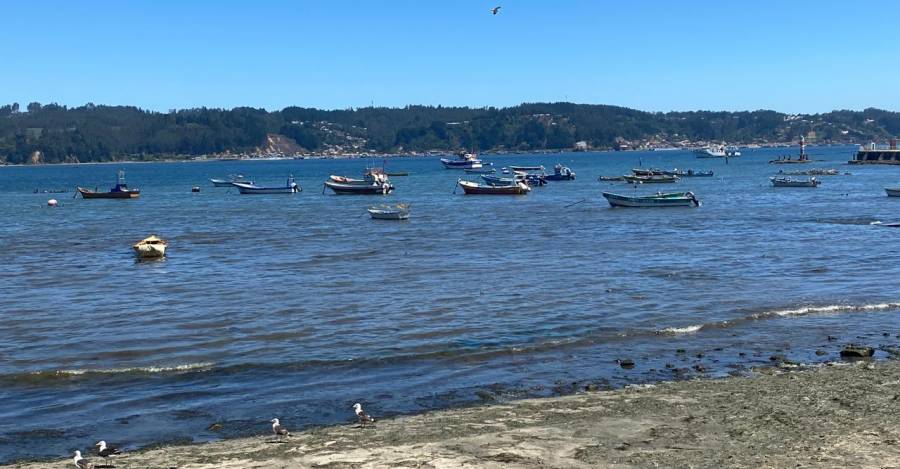 Contaminación fecal en el borde costero: investigación advierte de altos índices junto a riesgos para la salud y el ecosistema