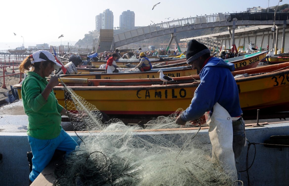 “Solucionaremos la situación de cuotas de merluza”: Boric valora Ley de Fraccionamiento para ayudar a pesca artesanal
