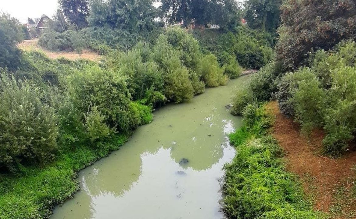 Revelan nuevos datos del monitoreo de condición de salubridad del río Damas en Osorno