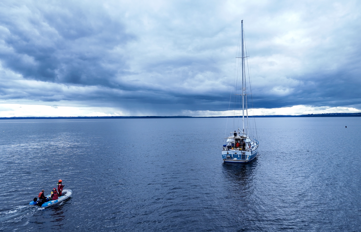 Plásticos en la ruta de la ballena azul: campaña científica alerta sobre contaminación en Patagonia