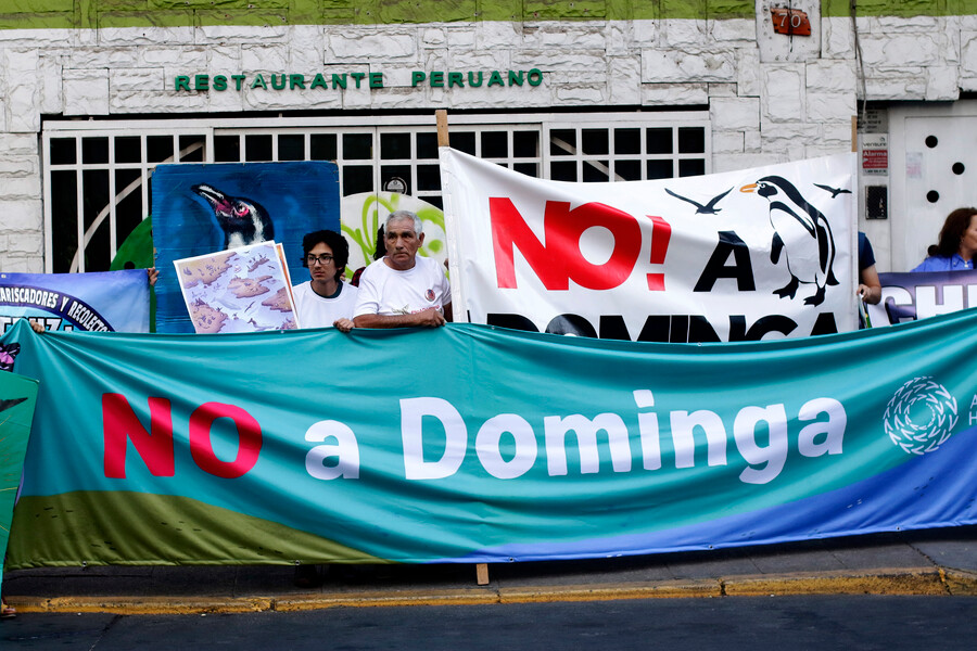 Dominga ganó en el TC: rechazan recurso del Gobierno contra tribunal ambiental