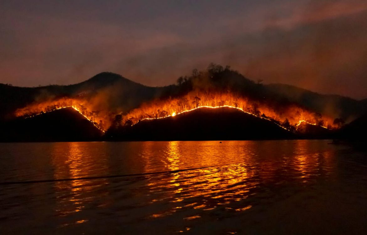 Incendios forestales contaminan ríos y reducen capacidad oceánica para absorber carbono, revela estudio