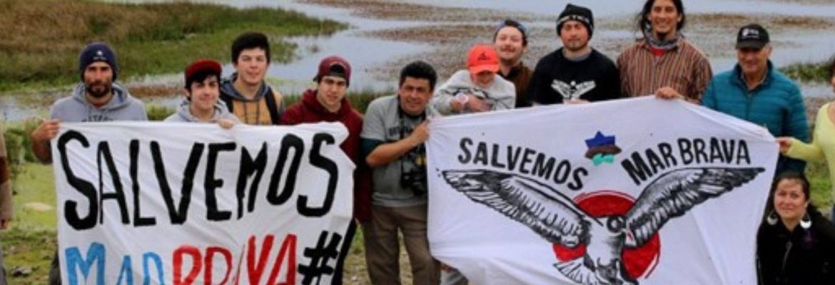 Institucionalidad ambiental y chilotes demandan declarar inválido permiso de ECOPOWER para Parque Eólico Chiloé por conducta maliciosa