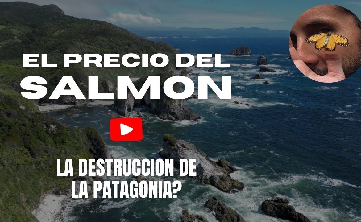 “El lamento del mar” El precio de comer salmón ¿La destrucción de la Patagonia? (Parte 1)