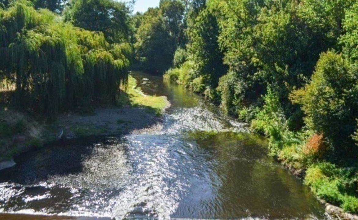 Exigen acelerar creación de norma secundaria de calidad ambiental para ríos de Osorno