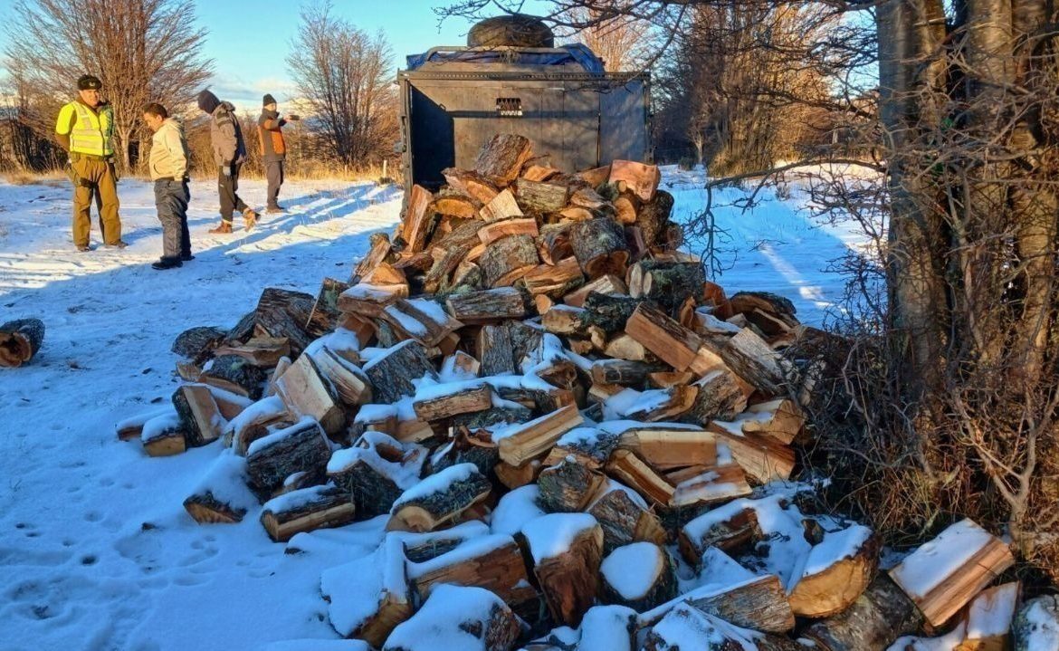 Detienen a seis personas por millonaria tala ilegal de bosque nativo en Aysén