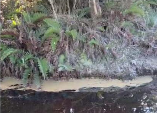 Vecinos de Salto Chico denuncian presunta contaminación de aguas