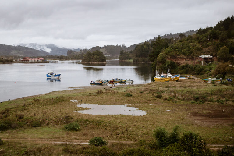 Chile: historia de la resistencia lafkenche contra una planta de celulosa que amenazaba al mar en Mehuin