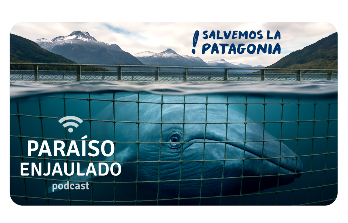 El llamado de la Patagonia: Llega podcast Paraíso Enjaulado