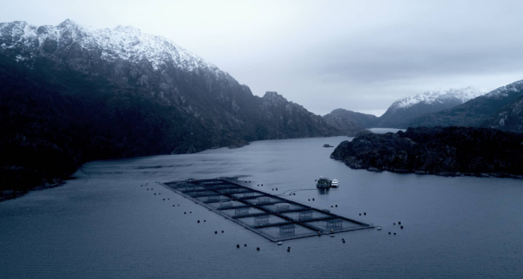 SMA investiga a salmonera Australis Mar S.A. por derrame de más de 7 mil litros de combustible al interior de Reserva Nacional Kawésqar
