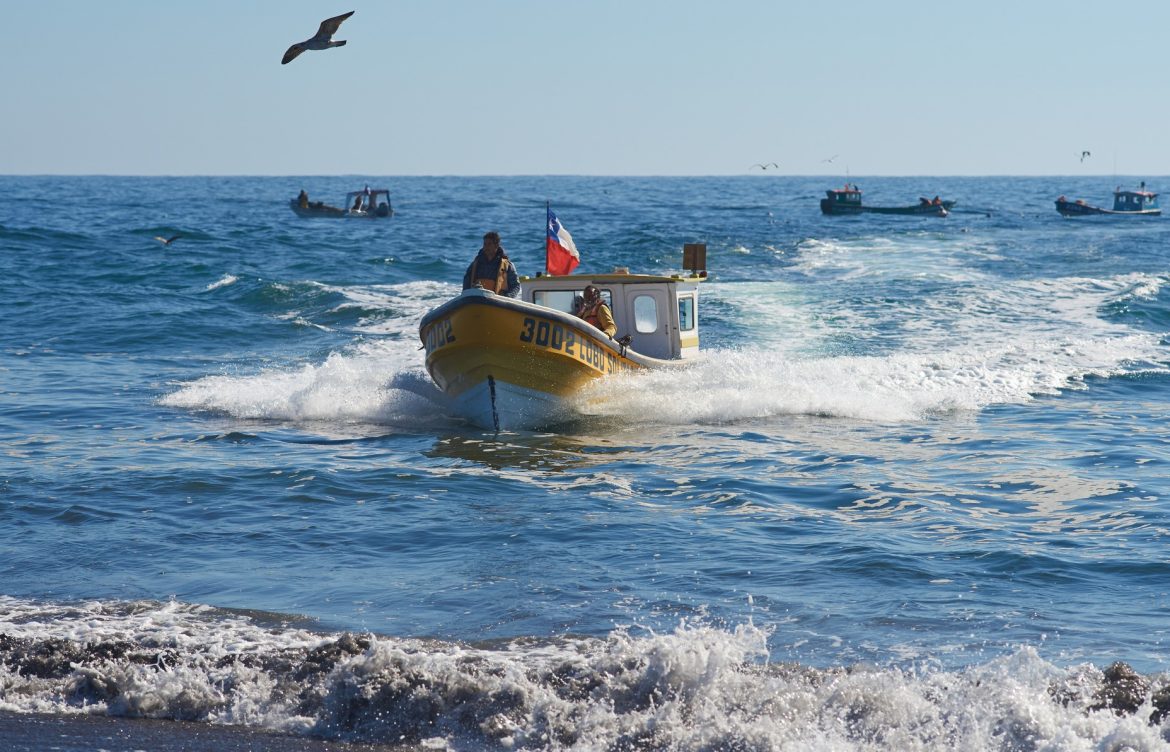 Gobierno alcanza un 32% de cumplimiento en agenda de pesca a meses de finalizar el mandato