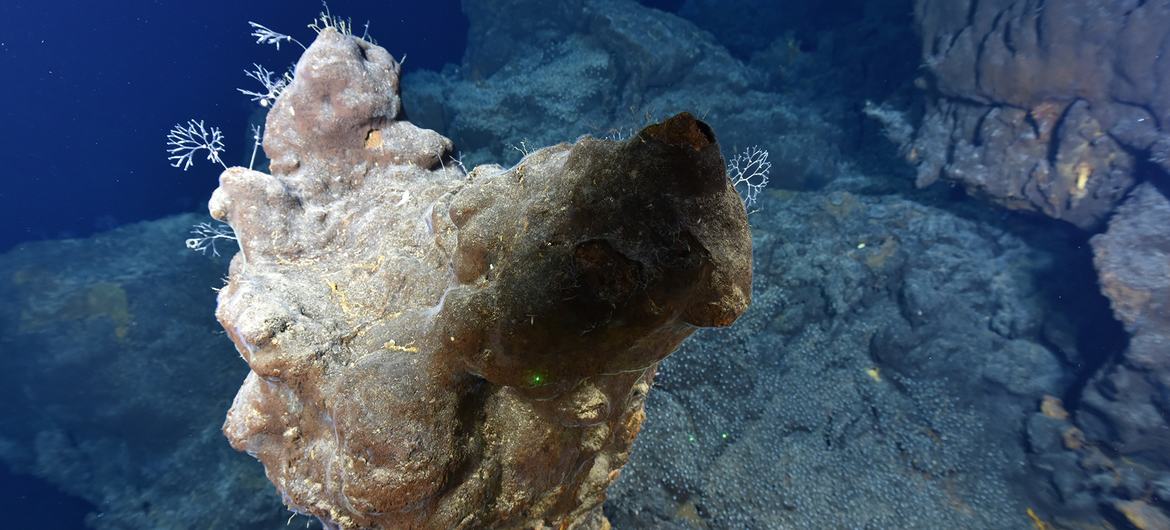 Los fondos marinos no deben convertirse en el “Salvaje Oeste” de la explotación de minerales raros