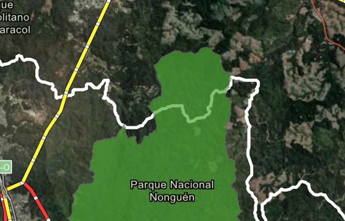 Anillo eléctrico amenazará a perpetuidad al extraordinario Parque Nacional Nonguén: Municipalidades acudirán al Tribunal Ambiental