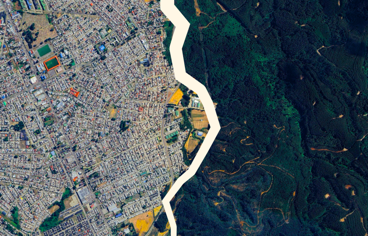 ¿De qué se trata el debate sobre la «permisología»? Inversión y protección ambiental en el centro del huracán por nueva Ley de Autorizaciones Sectoriales