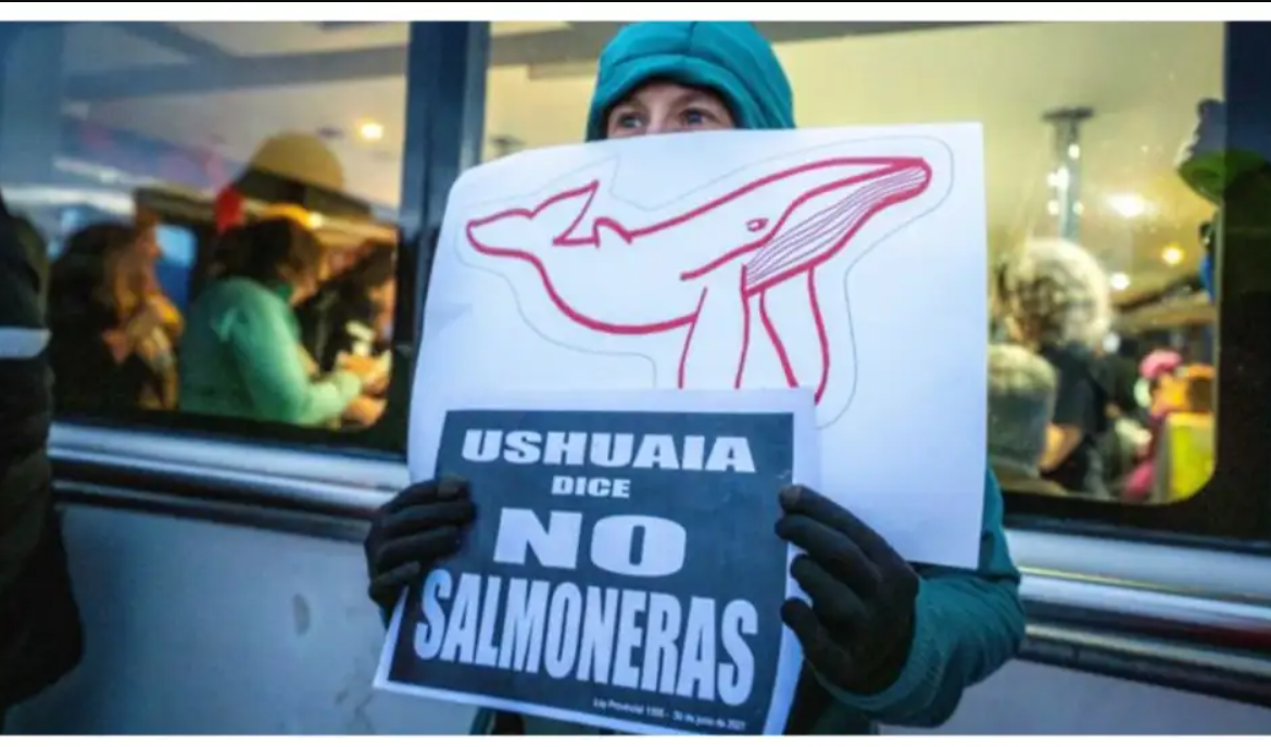 Científicos rechazan la salmonicultura en jaulas flotantes en el mar: contamina y no genera empleo