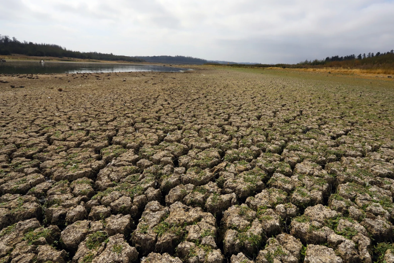 Día del sobregiro ecológico 2025: ¿Qué significa que la humanidad haya agotado los recursos naturales?
