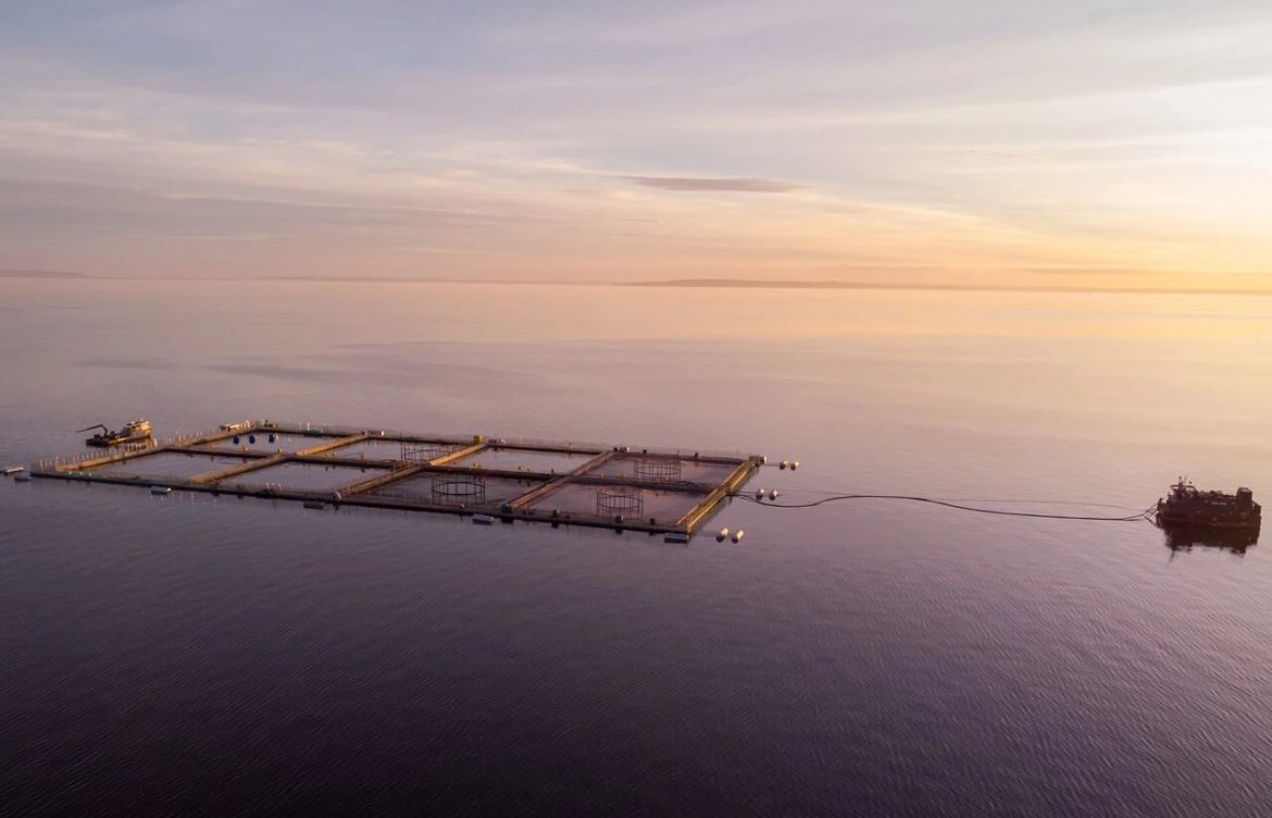 Decreto cierra puerta a nuevas salmoneras en áreas protegidas de Aysén: Hoy hay 322 concesiones en parques y reservas de la región