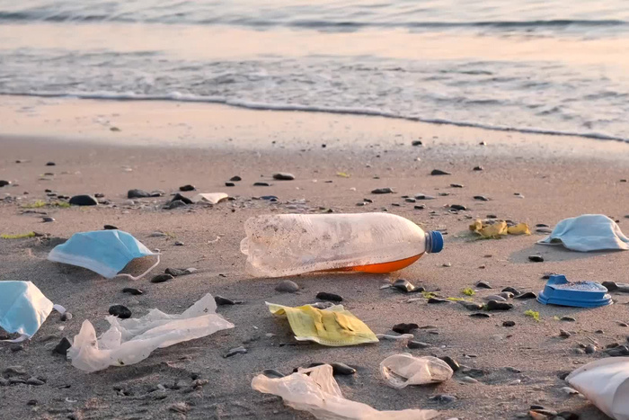 Detectan por primera vez microplásticos en el zooplancton marino de América Latina