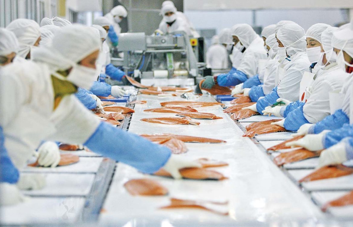 El salmón abre el apetito de dos gigantes globales de alimentos que buscan expandir su negocio en Chile