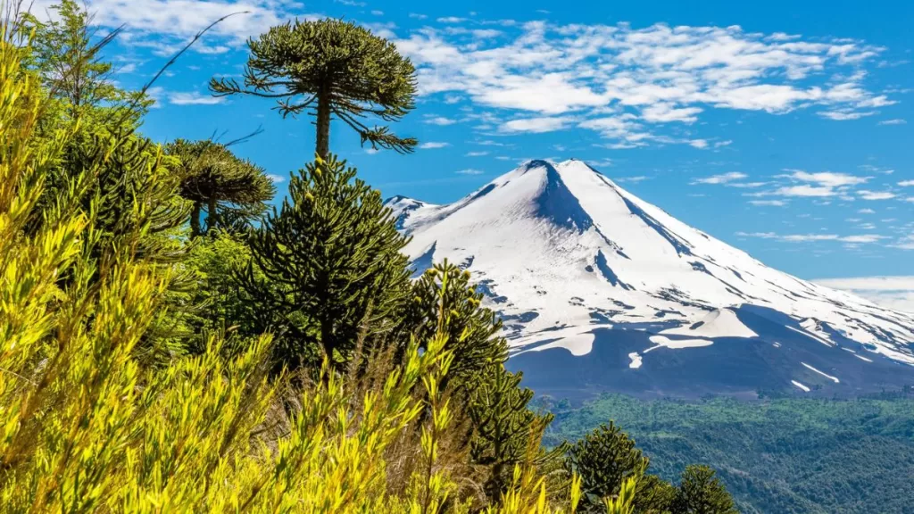 Hoy es el Día Internacional de los Parques Nacionales: ¿Por qué se conmemora esta fecha?