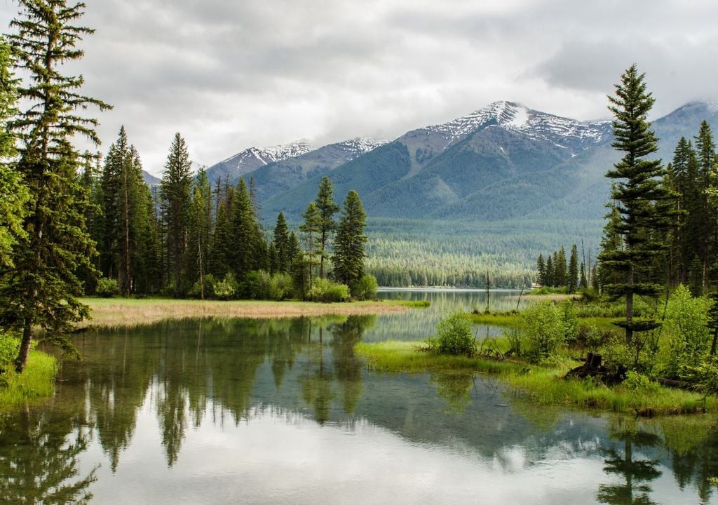 Día Mundial de los Lagos 2025: por qué son esenciales para la vida y cómo protegerlos