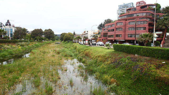 Declaran al Estero Reñaca en Viña del Mar como humedal urbano: Ya son 134 en el país
