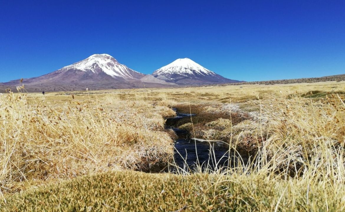 Ley para la Naturaleza: inicia consulta pública sobre Sitios Prioritarios