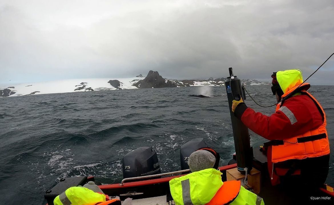Deshielo de los glaciares aumenta la concentración de metano en aguas antárticas