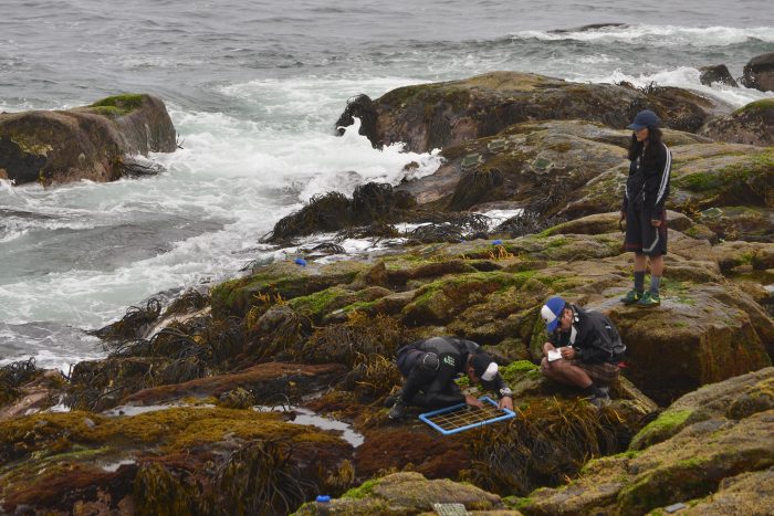 CEAZA-Guanaqueros_0097-700×467