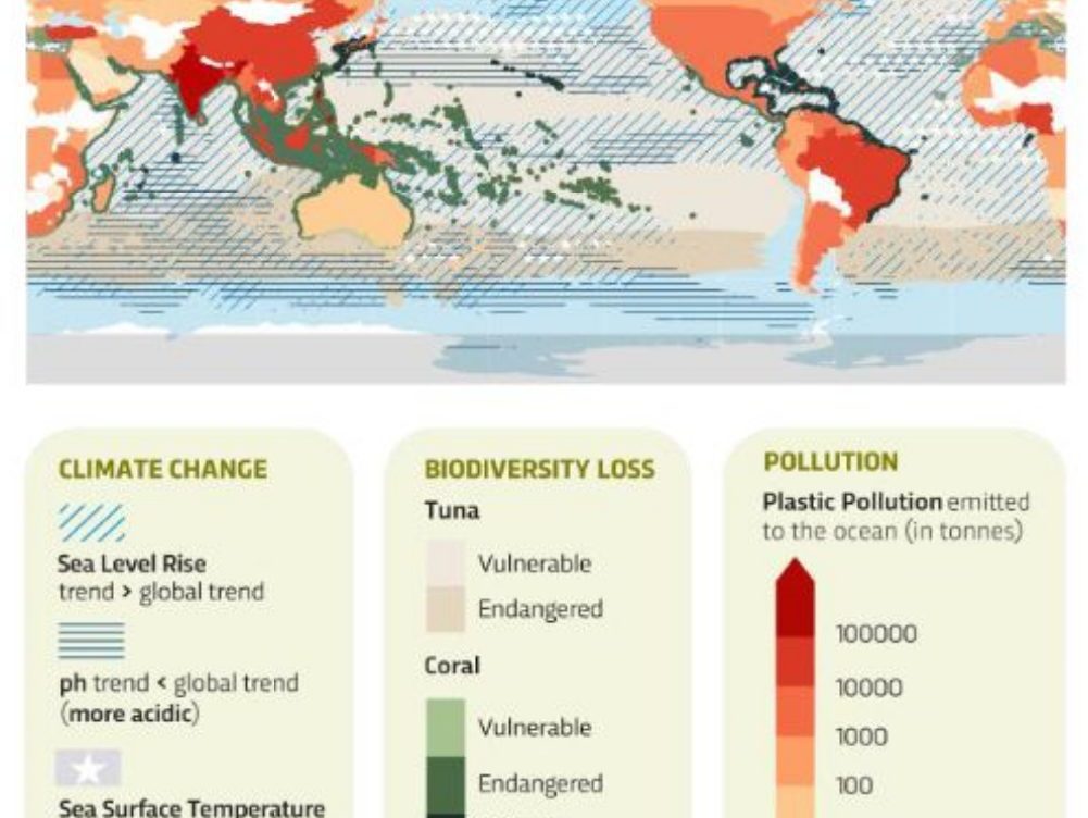 Cambio climático, polución y pérdida de biodiversidad avanzan sin freno en todo el océano