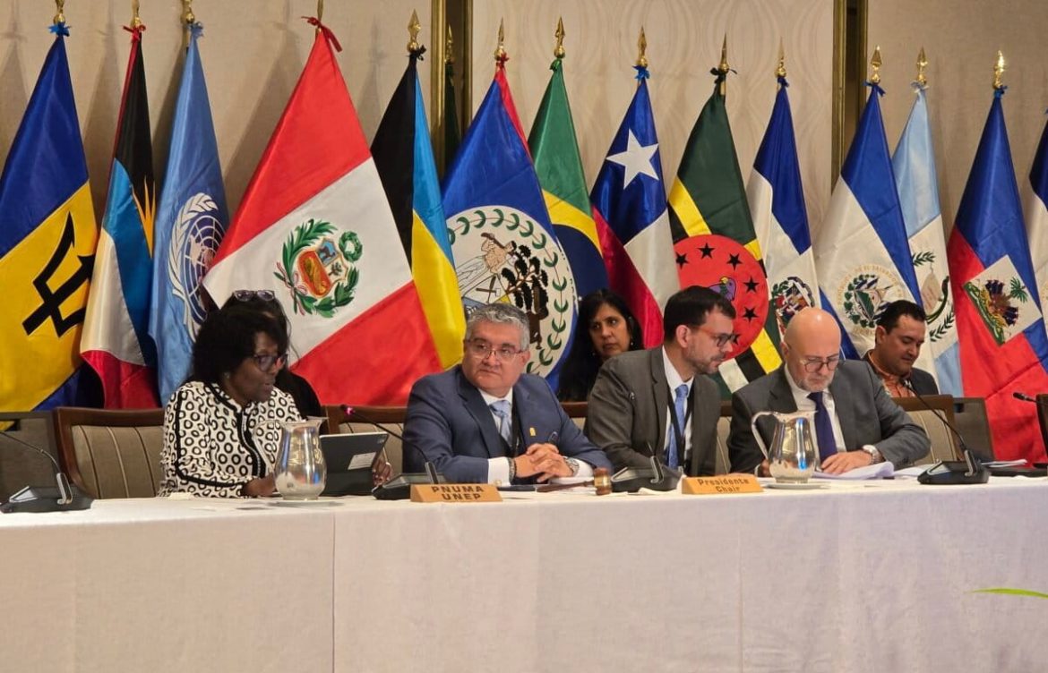 El Foro de Ministros de Ambiente finalizó con compromisos por el agua y la reducción de emisiones de metano