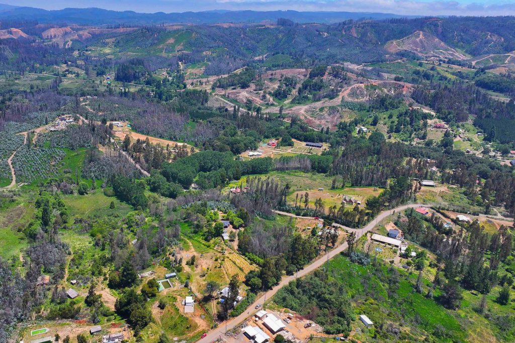 Parcelas de agrado: falta de planificación y normativa promueve el riesgo ecológico y la presión sobre la biodiversidad