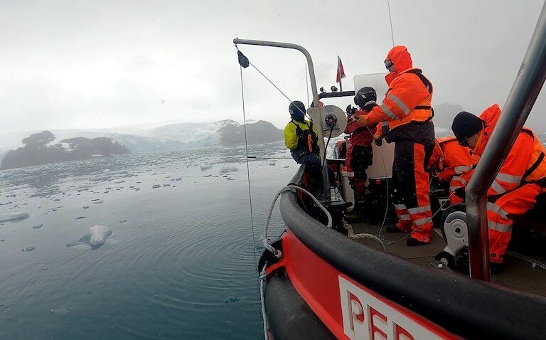 Efecto saltamontes: la crisis climática libera contaminantes del pasado atrapados en el hielo de la Antártida