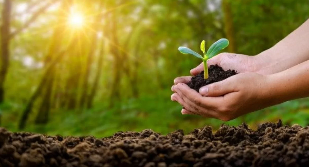 Piden a candidatos presidenciales comprometerse con medioambiente ante ausencia de tema en programas