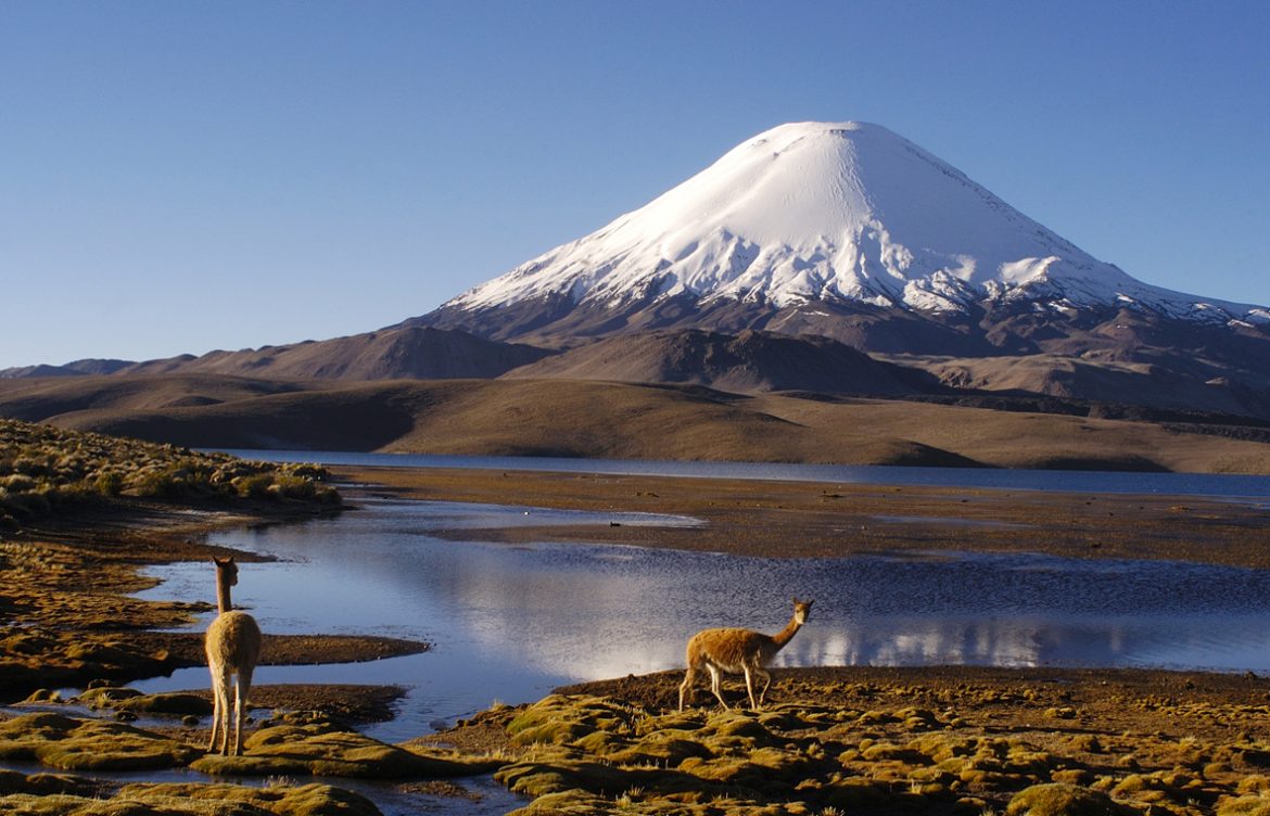 Reservas de las Biosfera en el Mundo alcanzan 784 sitios en 142 países: UNESCO lanza nueva década de acción en 5to Congreso Mundial en China