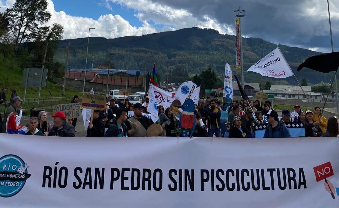 Solicitan al Tribunal Ambiental la suspensión total de obras de polémico proyecto salmonero en Los Lagos