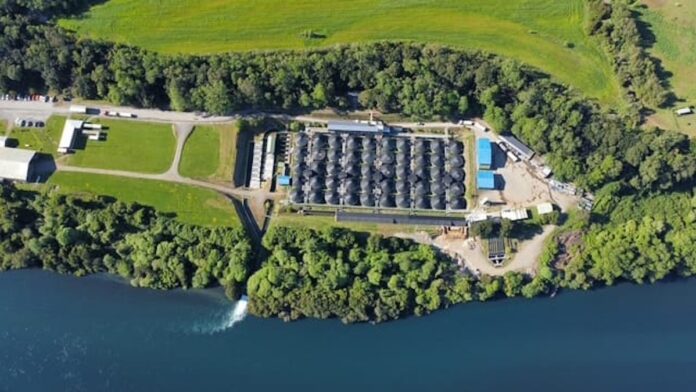 salmones_antartica-696×392