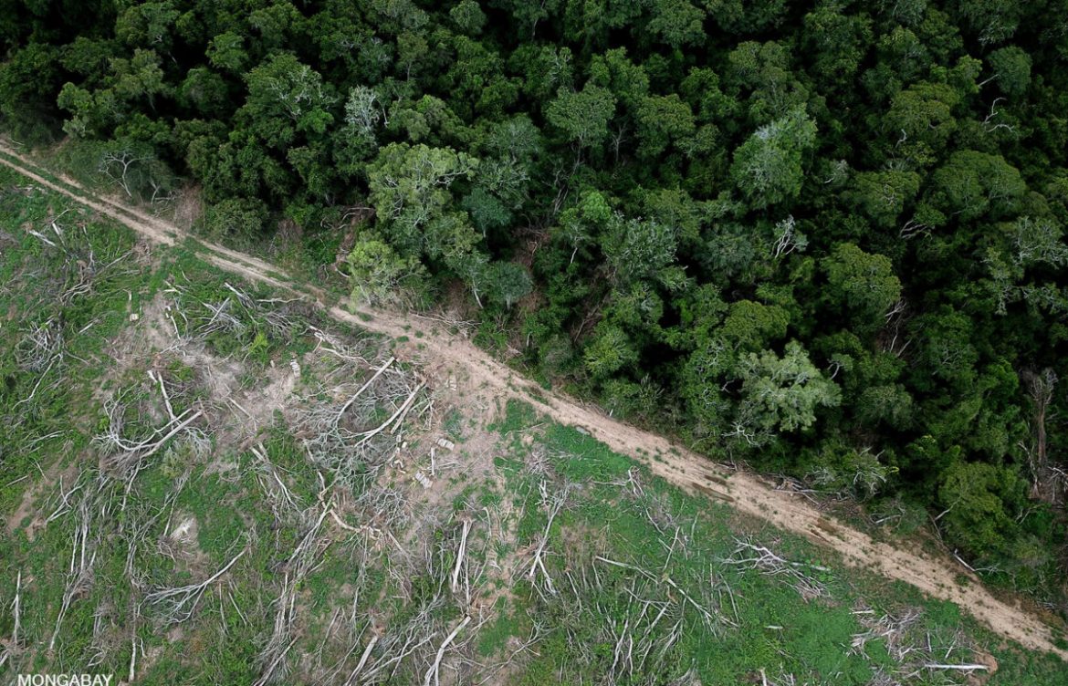 Bolivia: el presidente Paz elimina el Ministerio de Ambiente y lo pone bajo control de una cartera económica y de un empresario agroindustrial