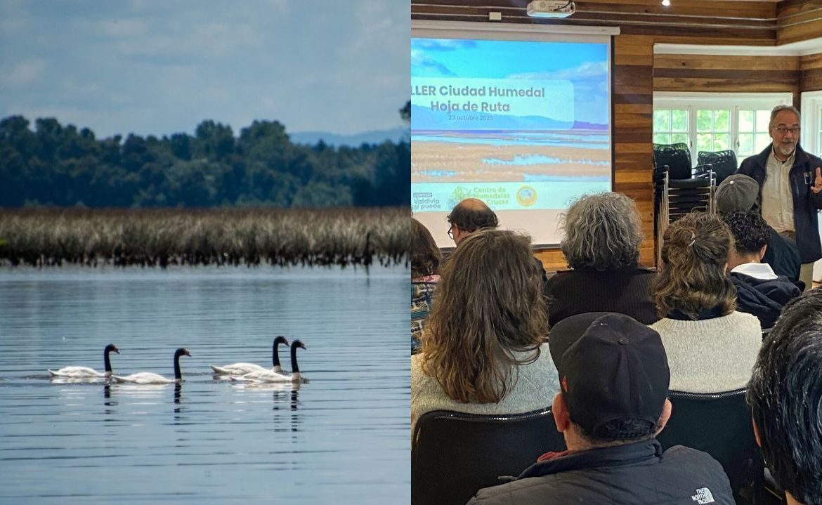 Valdivia inicia proceso para crear su hoja de ruta tras ser reconocida como Ciudad Humedal