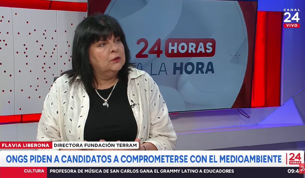 ONGs piden a candidatos comprometerse con el medioambiente