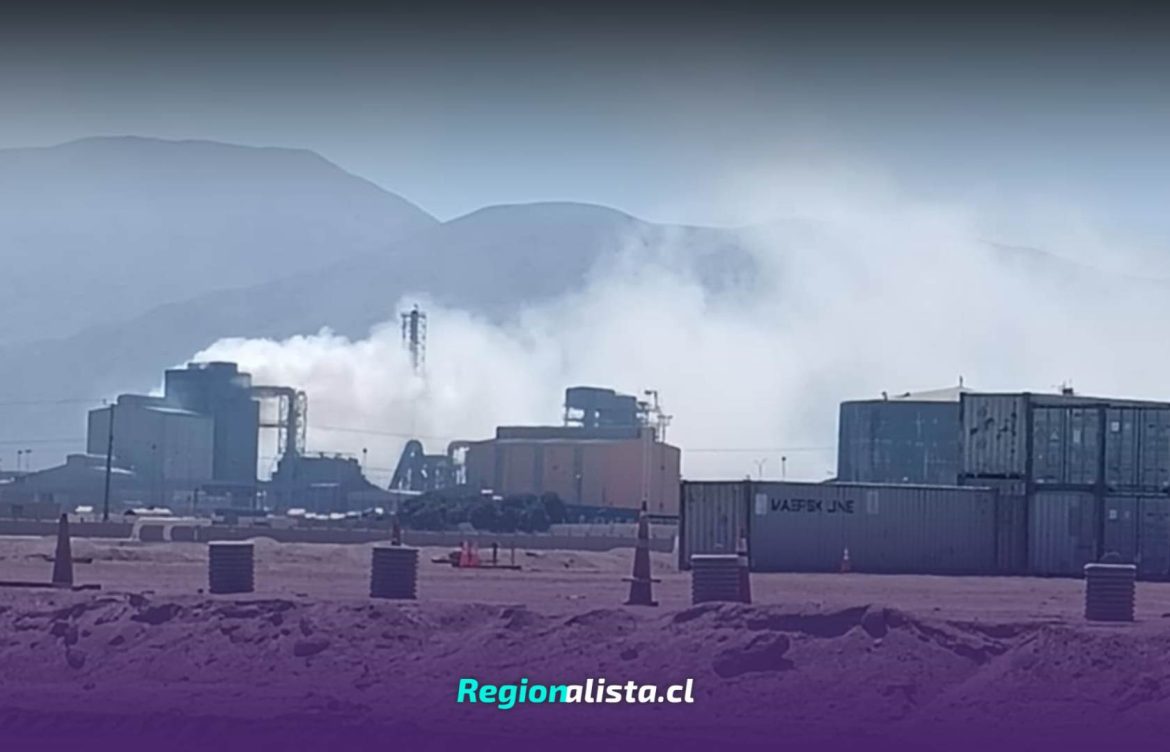 Confirman fiscalización de la Superintendencia de Medio Ambiente tras emisiones de empresa Molyb en Mejillones