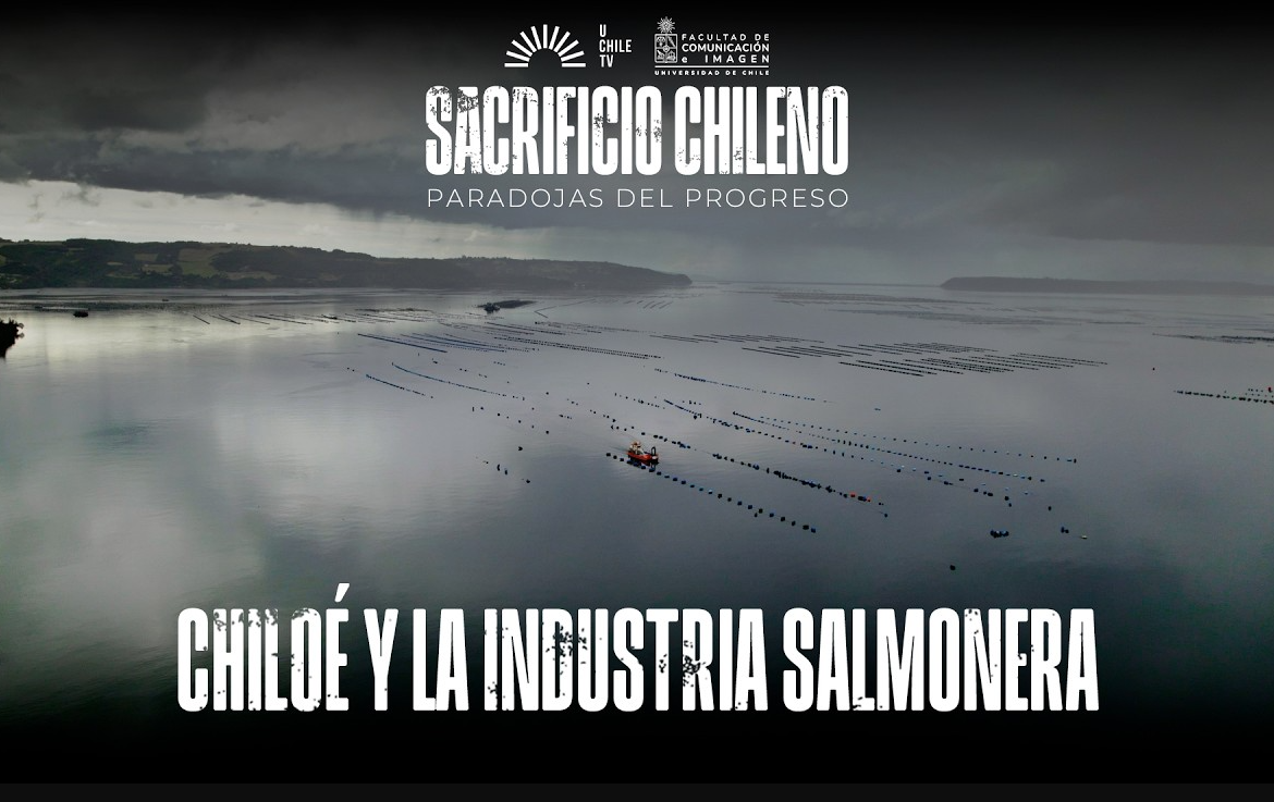 Serie documental muestra cómo se transformó Chiloé con las salmoneras y relata las sombras del crecimiento económico